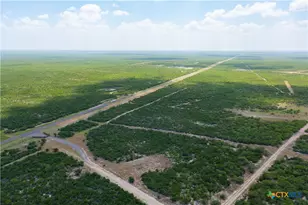0000 Hwy 44, Freer, TX 78357 - Photo 39