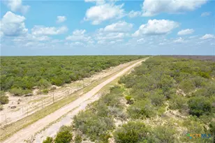 0000 Hwy 44, Freer, TX 78357 - Photo 19
