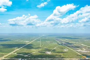 0000 Hwy 44, Freer, TX 78357 - Photo 33