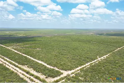 0000 Highway 44, Freer, TX 78357 - Photo 23