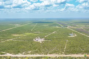 0000 Hwy 44, Freer, TX 78357 - Photo 31