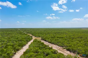 0000 Hwy 44, Freer, TX 78357 - Photo 41