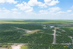 0000 Hwy 44, Freer, TX 78357 - Photo 47