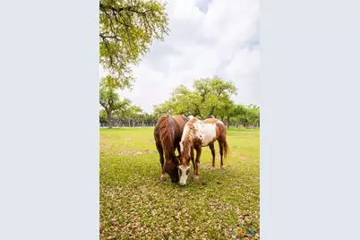 376 San Marcos Trail, New Braunfels, TX 78132 - Photo 5