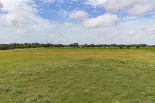 402 Happy Haven Rd, Mcqueeney, TX 78123 - Photo 21