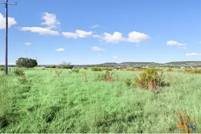 2365 County Road 3270, Kempner, TX 76539 - Photo 7