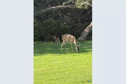 5 Horseshoe Trail, New Braunfels, TX 78132 - Photo 39