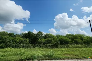 00 Fm-2542, Cuero, TX 77954 - Photo 1