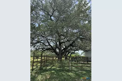 627 Ochoa, Nordheim, TX 78141 - Photo 7