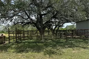 627 Ochoa, Nordheim, TX 78141 - Photo 5