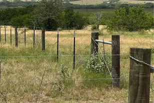 627 Ochoa, Nordheim, TX 78141 - Photo 3