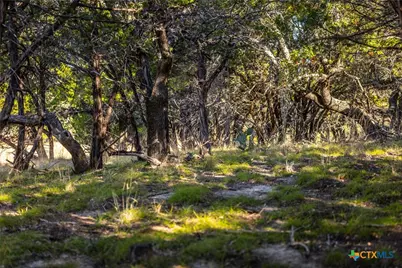 1260 County Road 2001, Lampasas, TX 76550 - Photo 19