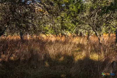 1260 County Road 2001, Lampasas, TX 76550 - Photo 13