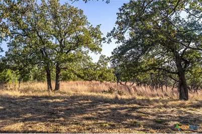 1260 County Road 2001, Lampasas, TX 76550 - Photo 5