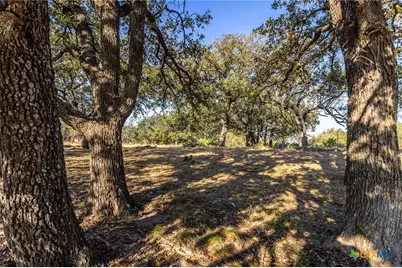 1260 County Road 2001, Lampasas, TX 76550 - Photo 3
