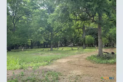1633 Bella Vista, Canyon Lake, TX 78133 - Photo 17