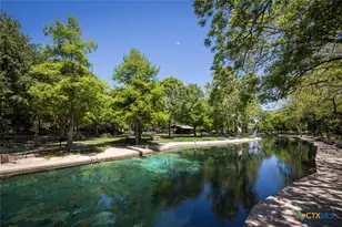 695 W Klingemann St, New Braunfels, TX 78130 - Photo 21