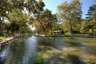 695 W Klingemann St, New Braunfels, TX 78130 - Photo 9