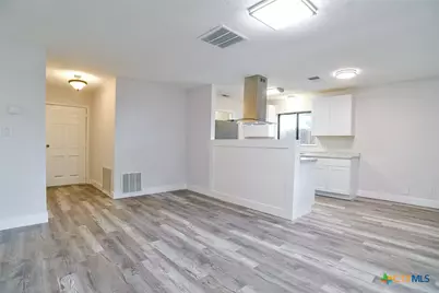 1225 W Coll Street, New Braunfels, TX 78130 - Photo 11