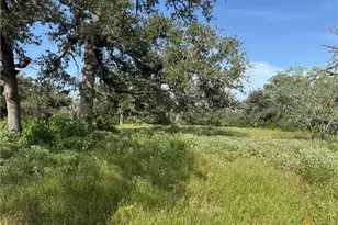 0 Batey Ranch Rd, Nixon, TX 78140 - Photo 5