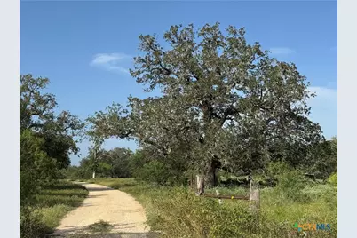 0 Batey Ranch Road, Nixon, TX 78140 - Photo 3