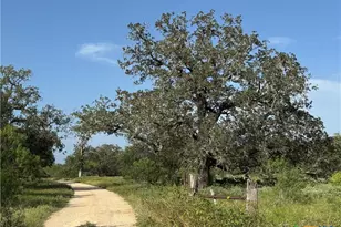 0 Batey Ranch Rd, Nixon, TX 78140 - Photo 3