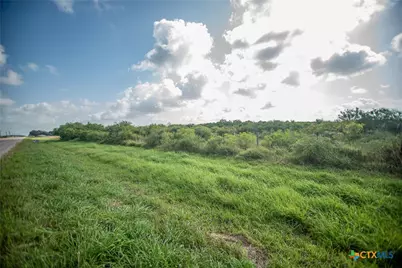 40 Acres Hwy 172, Port Lavaca, TX 77979 - Photo 9