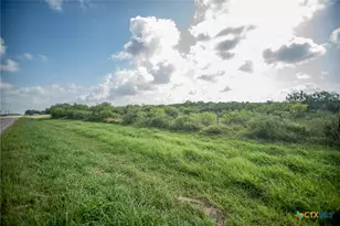 40 Acres Hwy 172, Port Lavaca, TX 77979 - Photo 9
