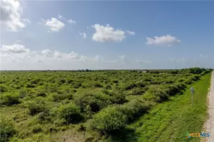 40 Acres Hwy 172, Port Lavaca, TX 77979 - Photo 5
