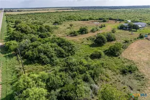 40 Acres Hwy 172, Port Lavaca, TX 77979 - Photo 3