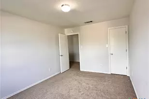 209 Peppergrass Cove, Kyle, TX 78640 - Photo 19