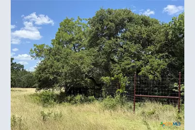 1238 Gannon Trail, Salado, TX 76571 - Photo 3