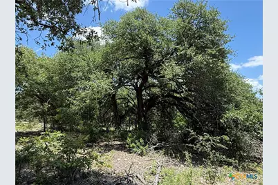 1219 Gannon Trail, Salado, TX 76571 - Photo 5