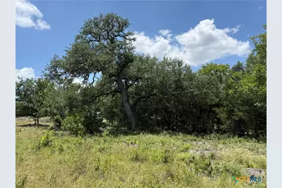 1219 Gannon Trail, Salado, TX 76571 - Photo 3