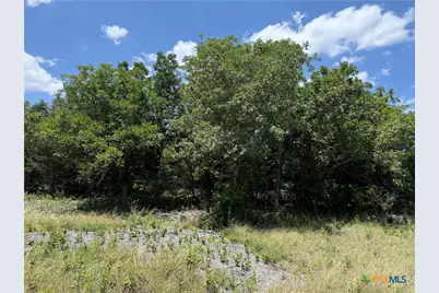 1219 Gannon Trail, Salado, TX 76571 - Photo 7