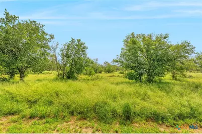 8954 County Road 128, Floresville, TX 78114 - Photo 33
