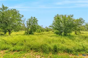 8954 County Rd 128, Floresville, TX 78114 - Photo 33