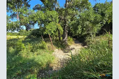 7980 E US Highway 84 Highway, Gatesville, TX 76528 - Photo 5