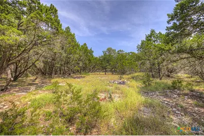 235 Flanders, Fischer, TX 78623 - Photo 7