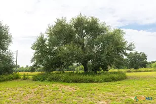 3831 Hopkinsville Rd, Cuero, TX 77954 - Photo 39