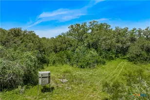 000 McGuill Rd, Goliad, TX 77963 - Photo 9