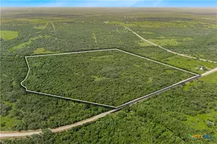 000 McGuill Rd, Goliad, TX 77963 - Photo 1