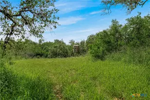 000 McGuill Rd, Goliad, TX 77963 - Photo 19