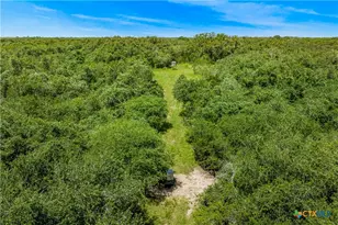 000 McGuill Rd, Goliad, TX 77963 - Photo 13