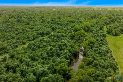 000 McGuill Rd., Goliad, TX 77963 - Photo 11