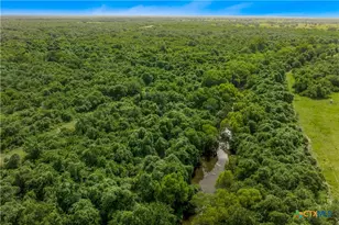 000 McGuill Rd, Goliad, TX 77963 - Photo 11
