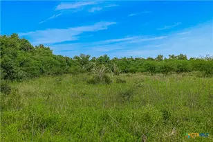 000 McGuill Rd, Goliad, TX 77963 - Photo 15