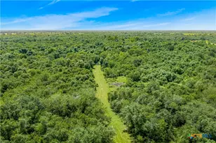 000 McGuill Rd, Goliad, TX 77963 - Photo 17