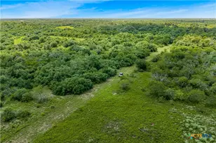000 McGuill Rd, Goliad, TX 77963 - Photo 7