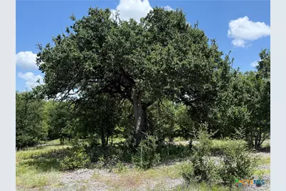 1182 Kenton Parkway, Salado, TX 76571 - Photo 7